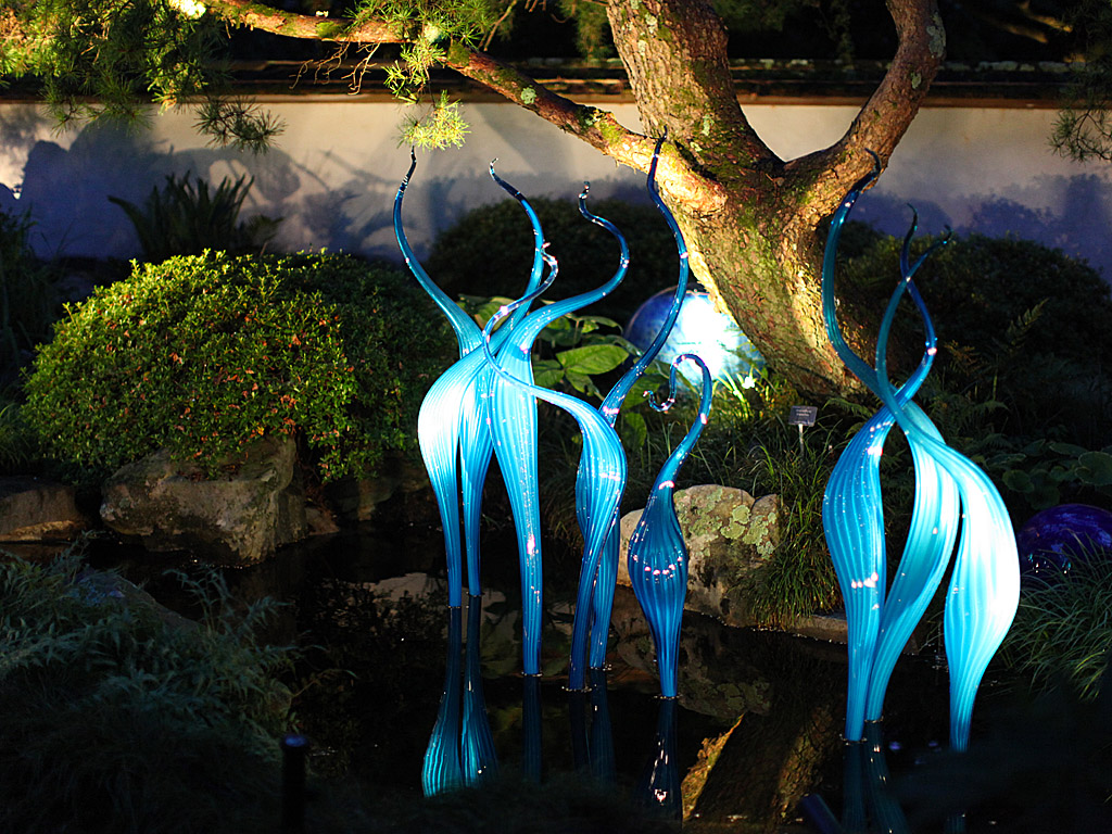 gardens17.jpg