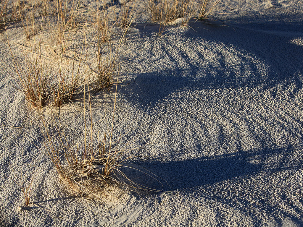 whitesands09.jpg