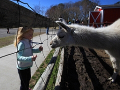 petzoo01