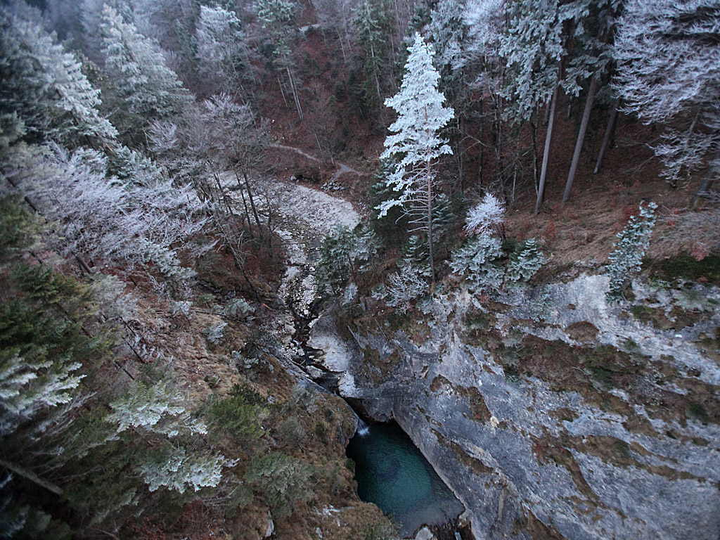 neuschwanstein03.jpg