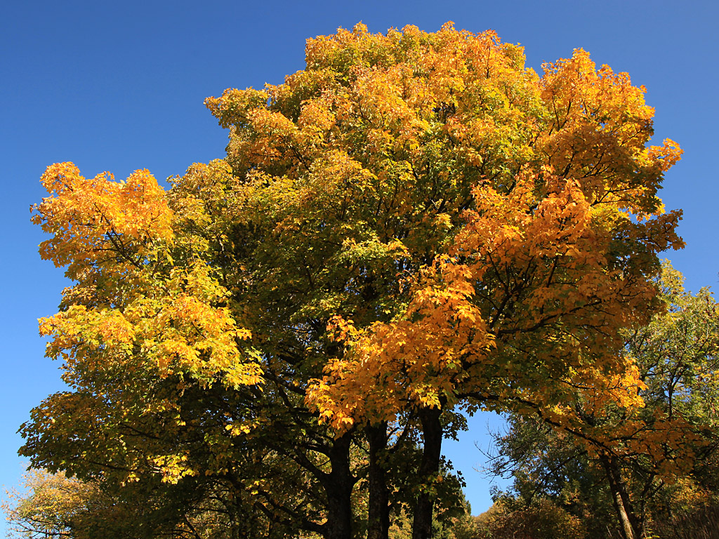 fall02.jpg