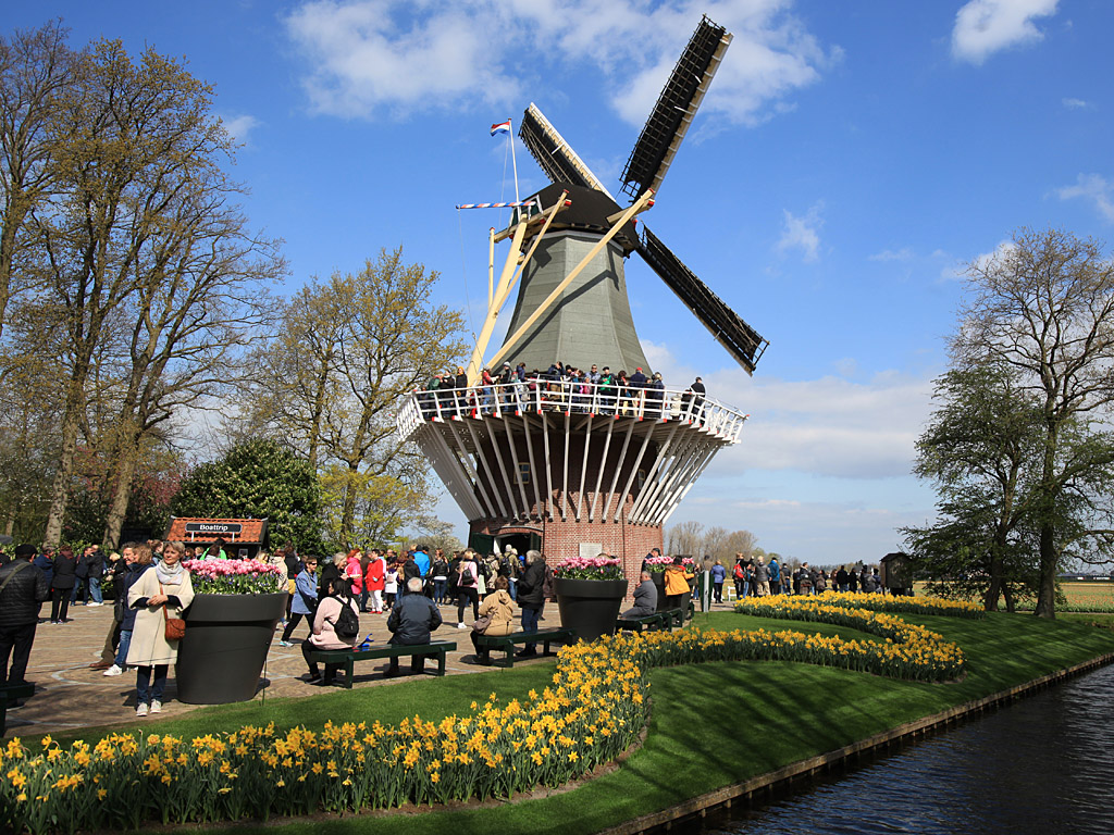 holland16.jpg