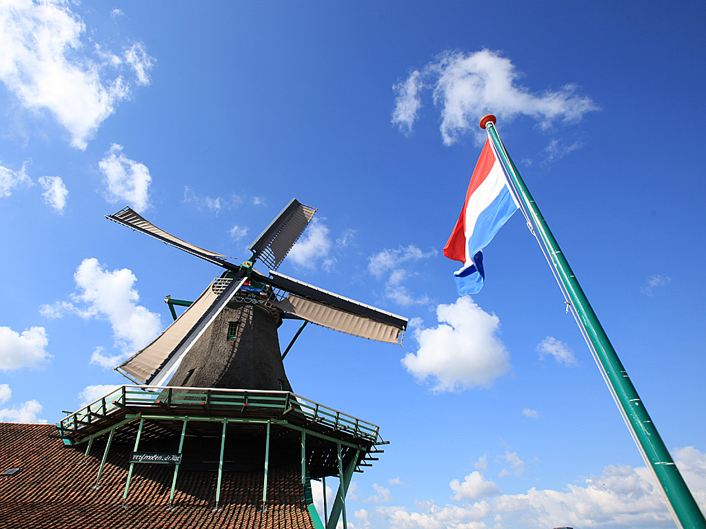 holland33.jpg