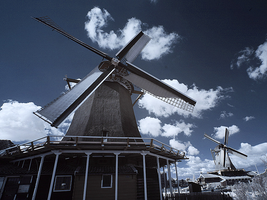 holland35.jpg