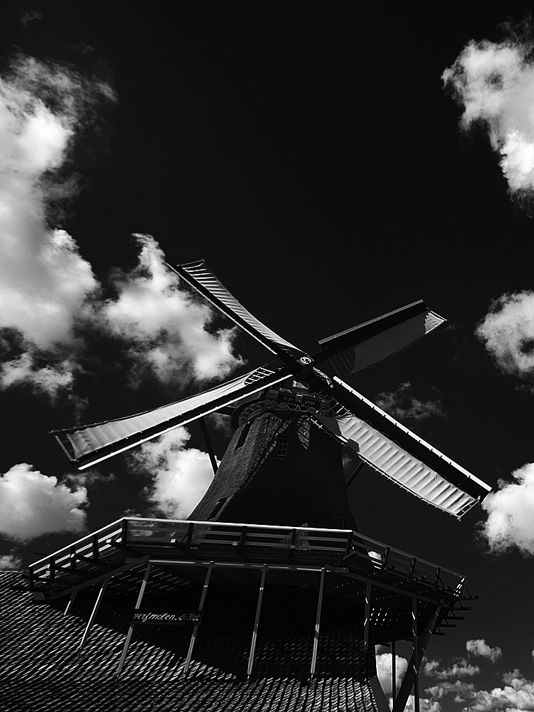 holland37.jpg