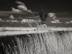 holland36