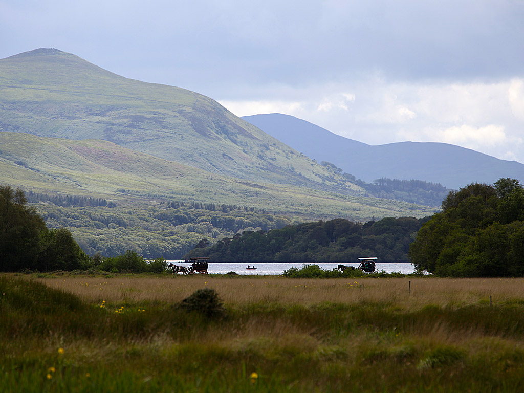 eire19-11.jpg