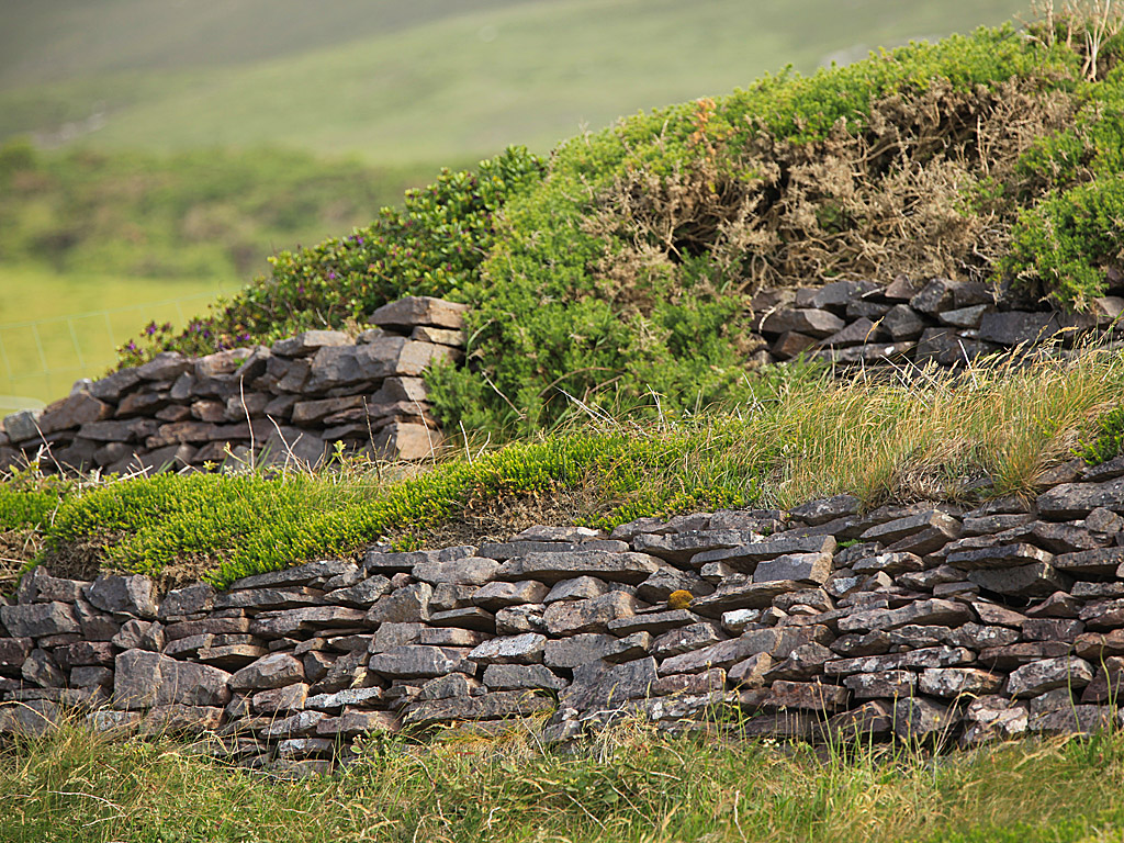 eire19-14.jpg