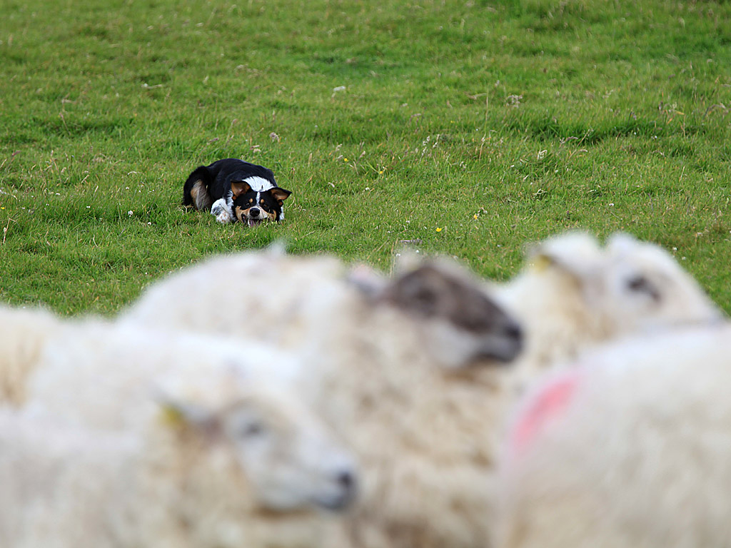 eire19-26.jpg