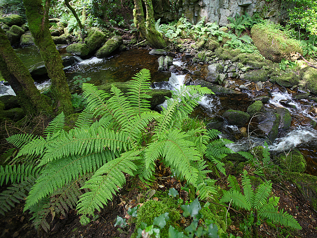 eire19-37.jpg