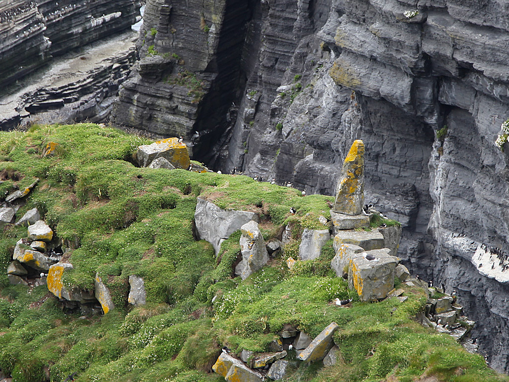 eire19-50.jpg