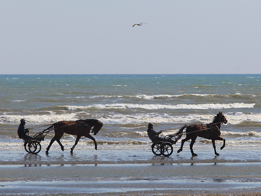 normandy09.jpg