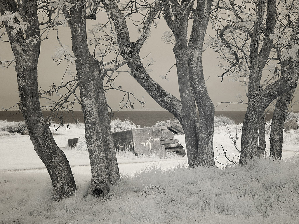 normandy17.jpg