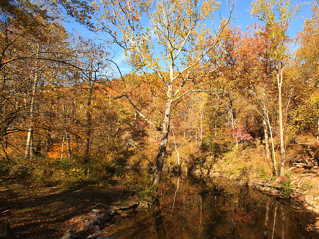fall20-03.jpg