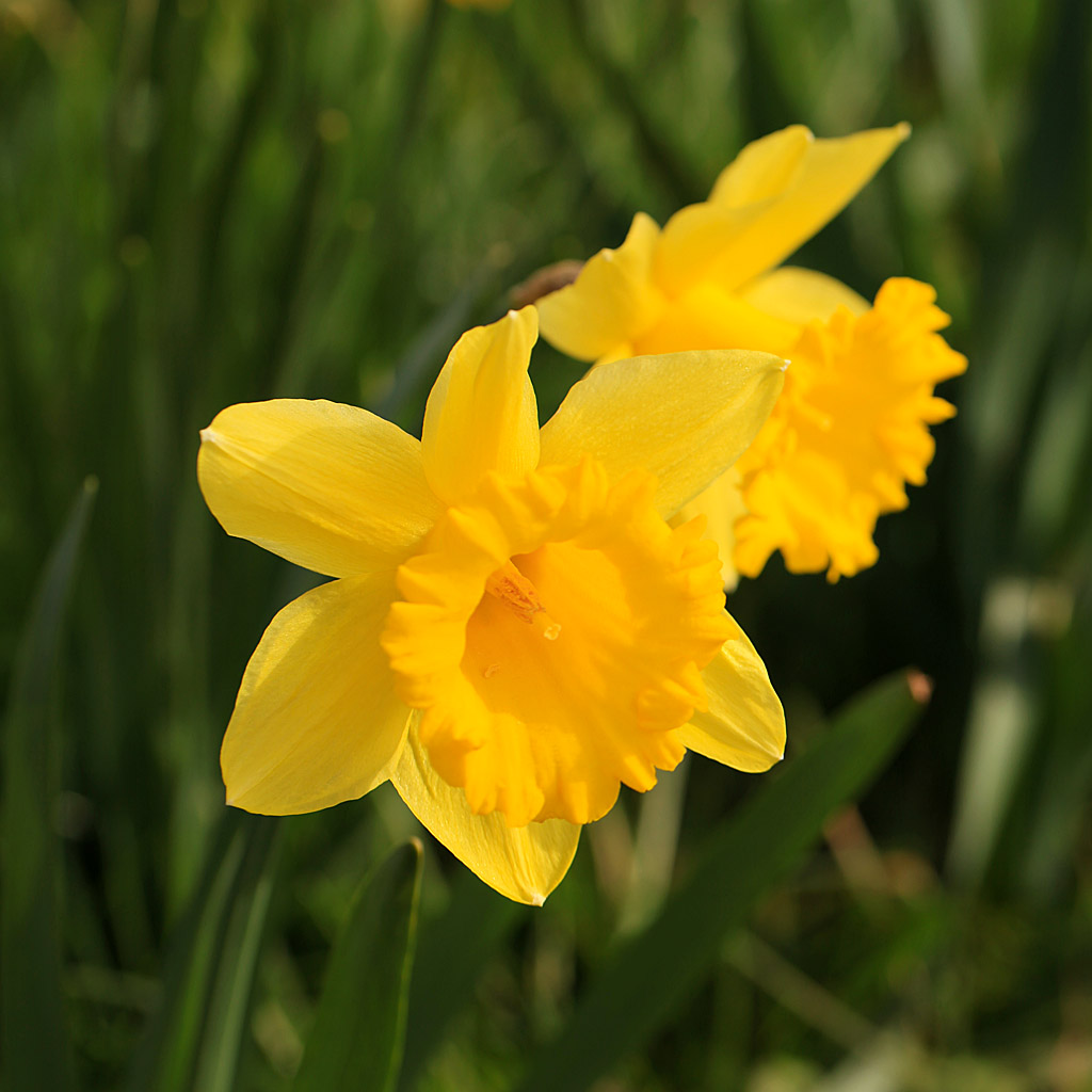 spring20-01.jpg