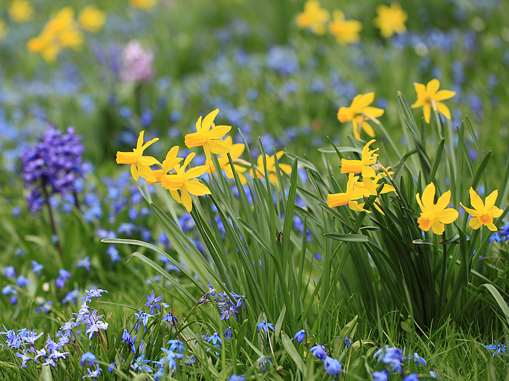 spring20-03.jpg