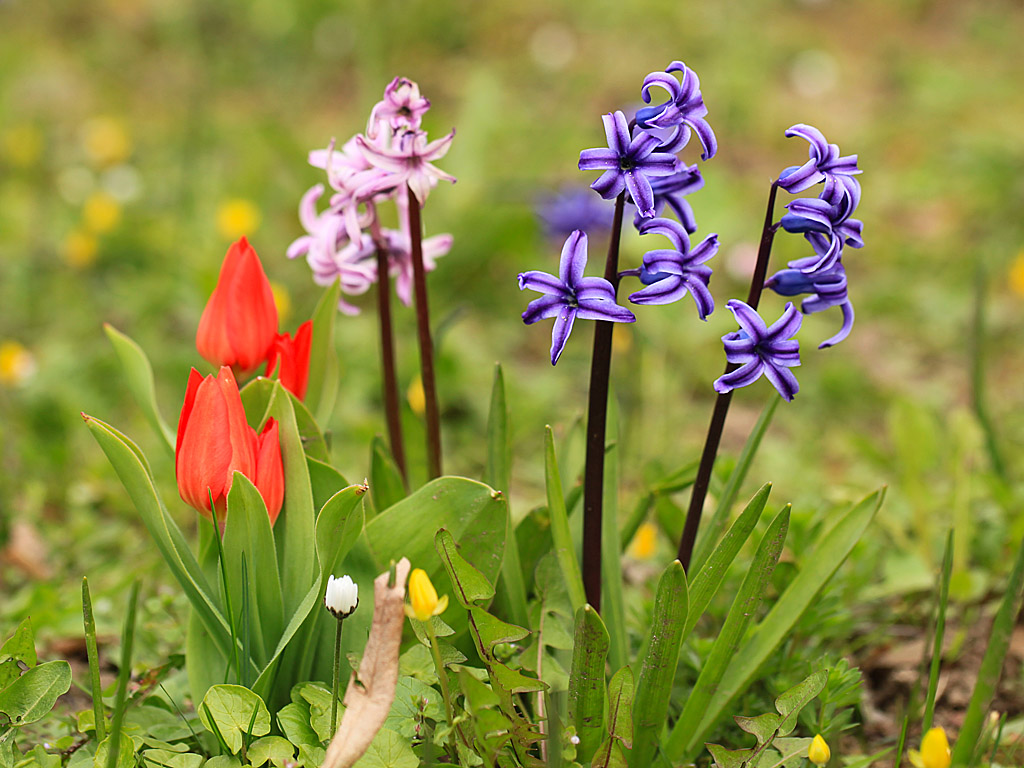 spring20-05.jpg