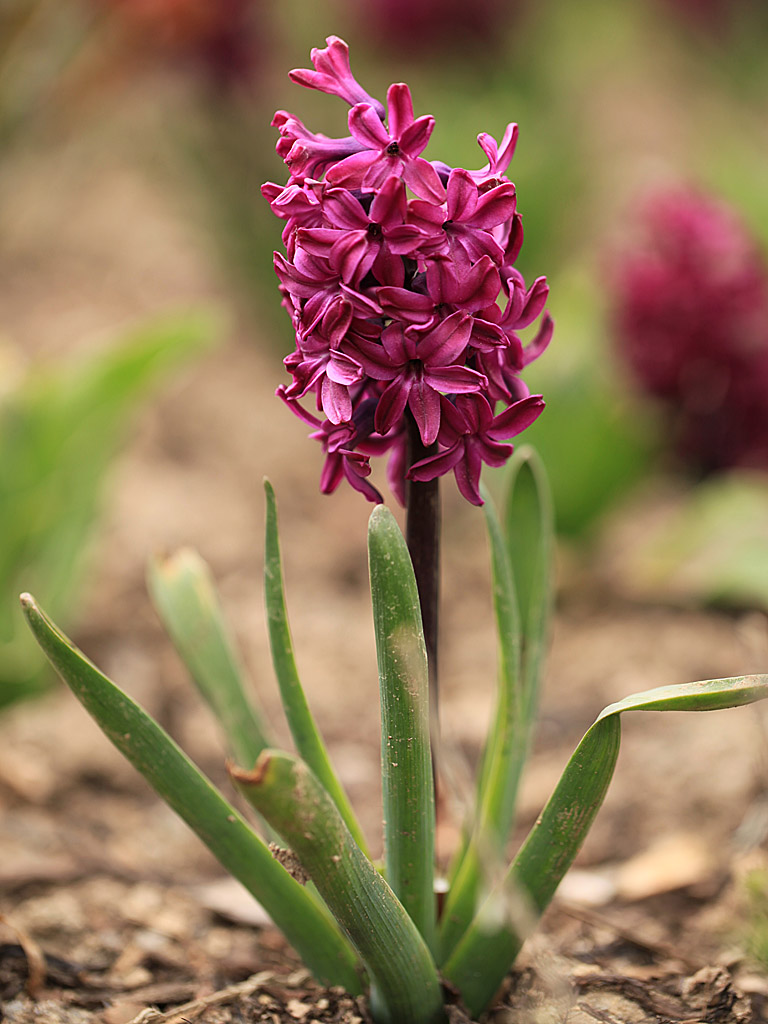 spring20-07.jpg
