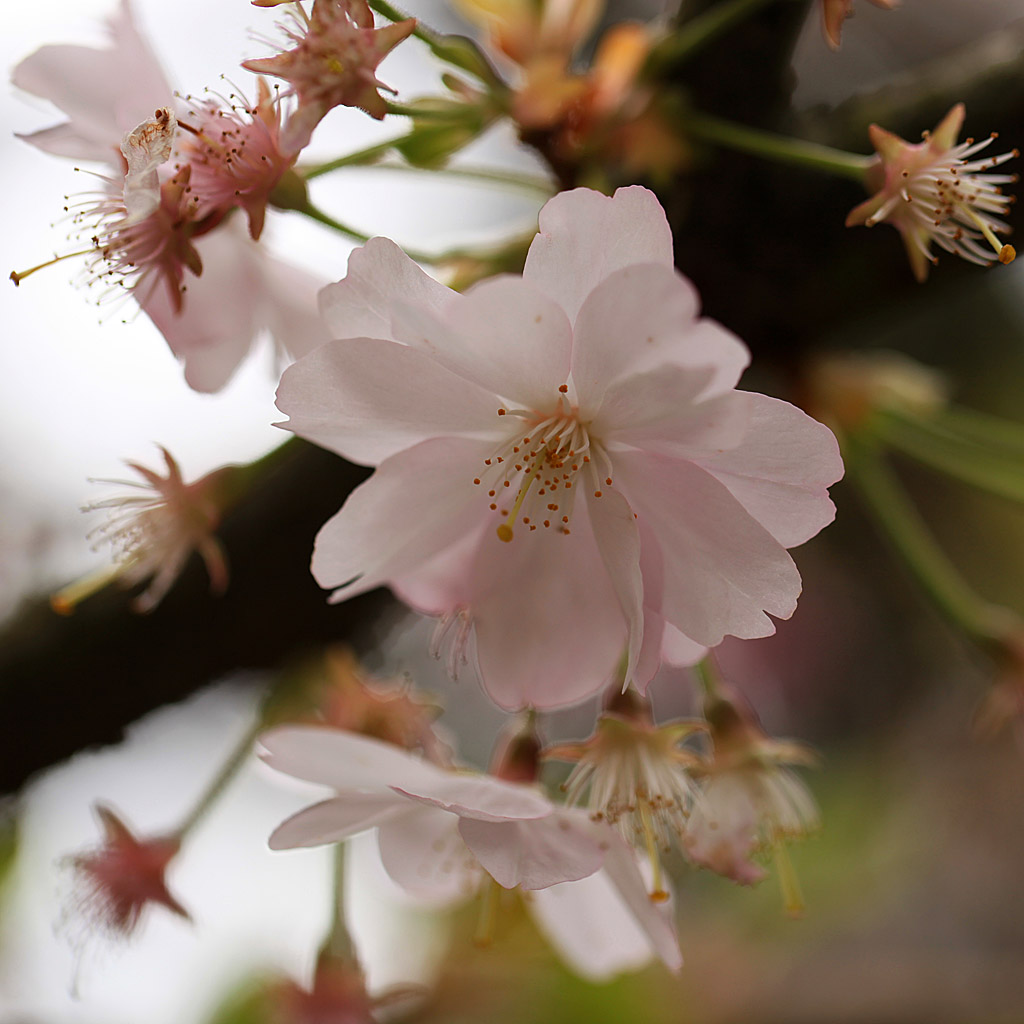spring20-09.jpg