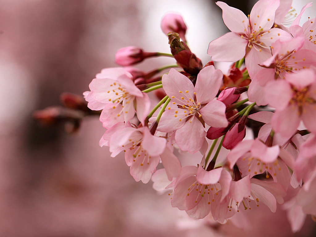 spring20-10.jpg