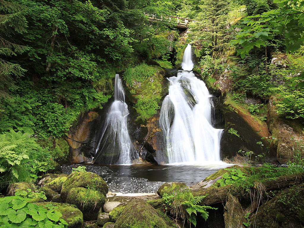 blackforest03.jpg