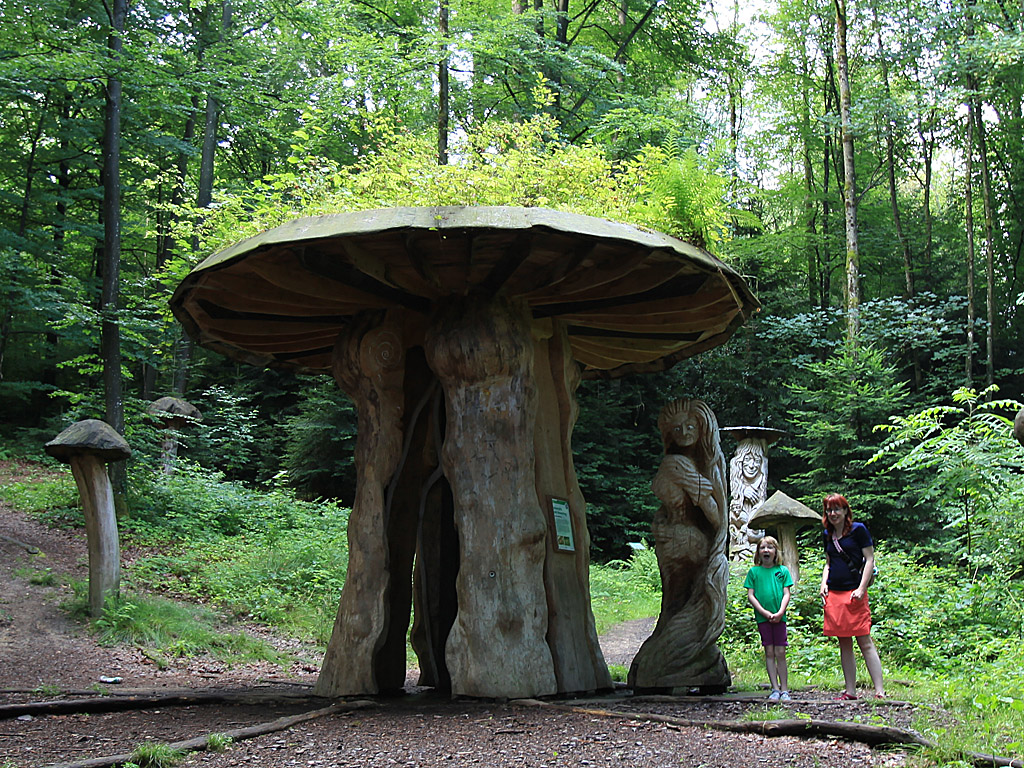 blackforest10.jpg
