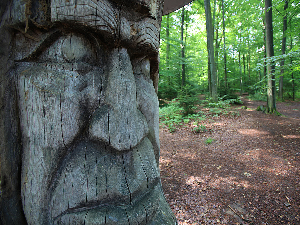 blackforest11.jpg