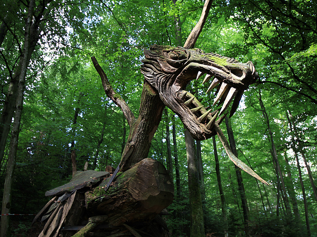 blackforest14.jpg