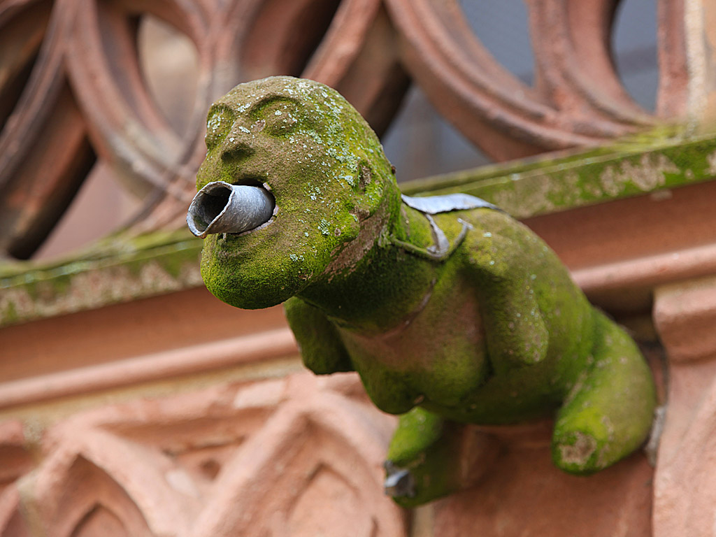 freiburg01.jpg