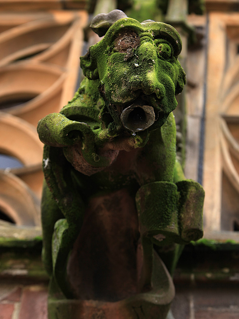 freiburg02.jpg