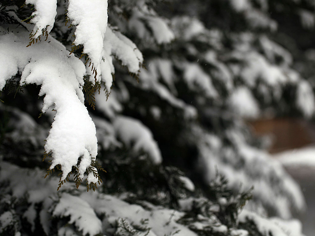 snow21-03.jpg