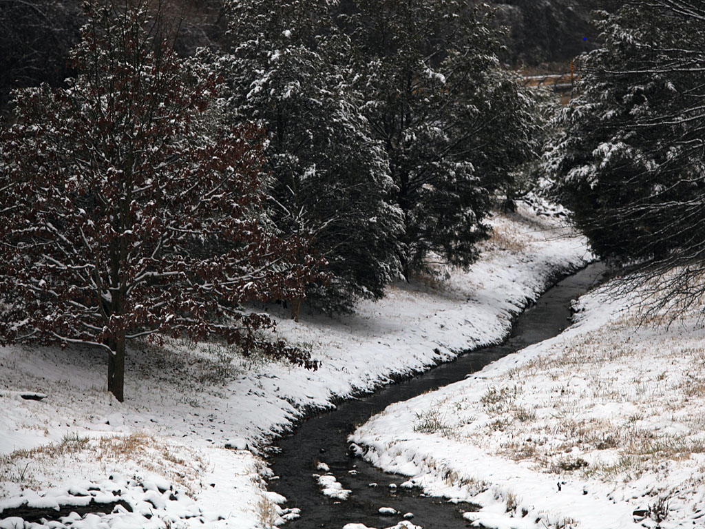 snow21-09.jpg