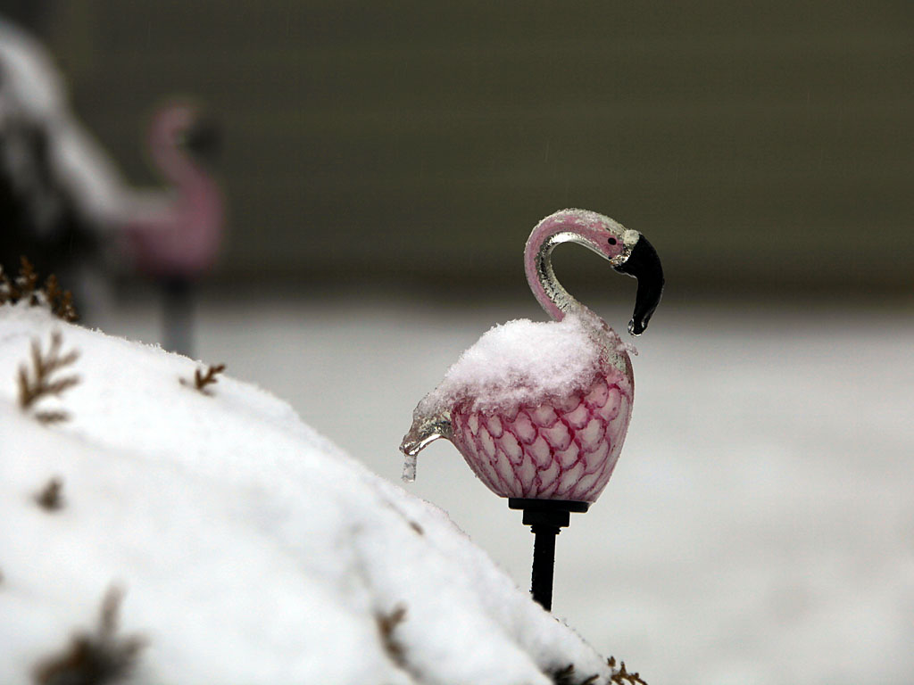 snow21-13.jpg
