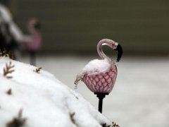 snow21-13