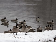 snow21-14