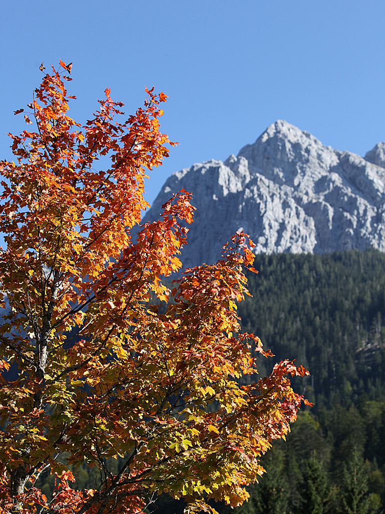garmisch07.jpg