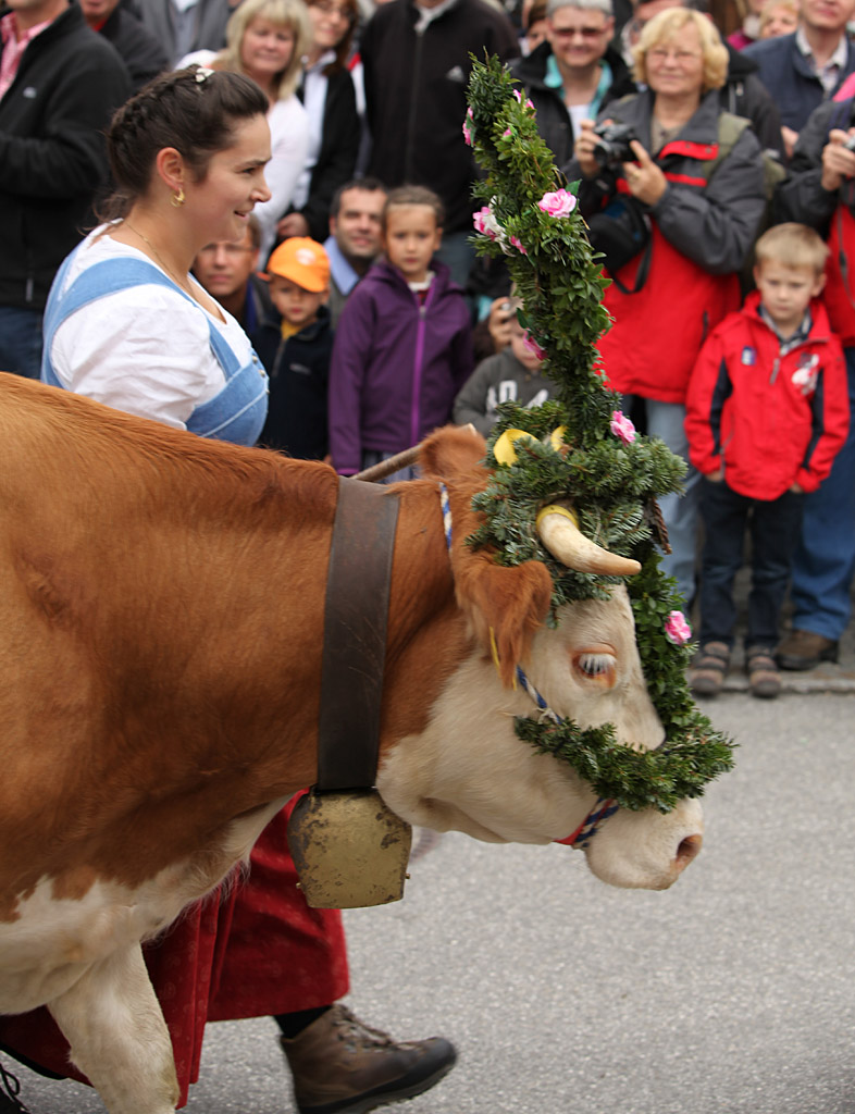 kruen11.jpg