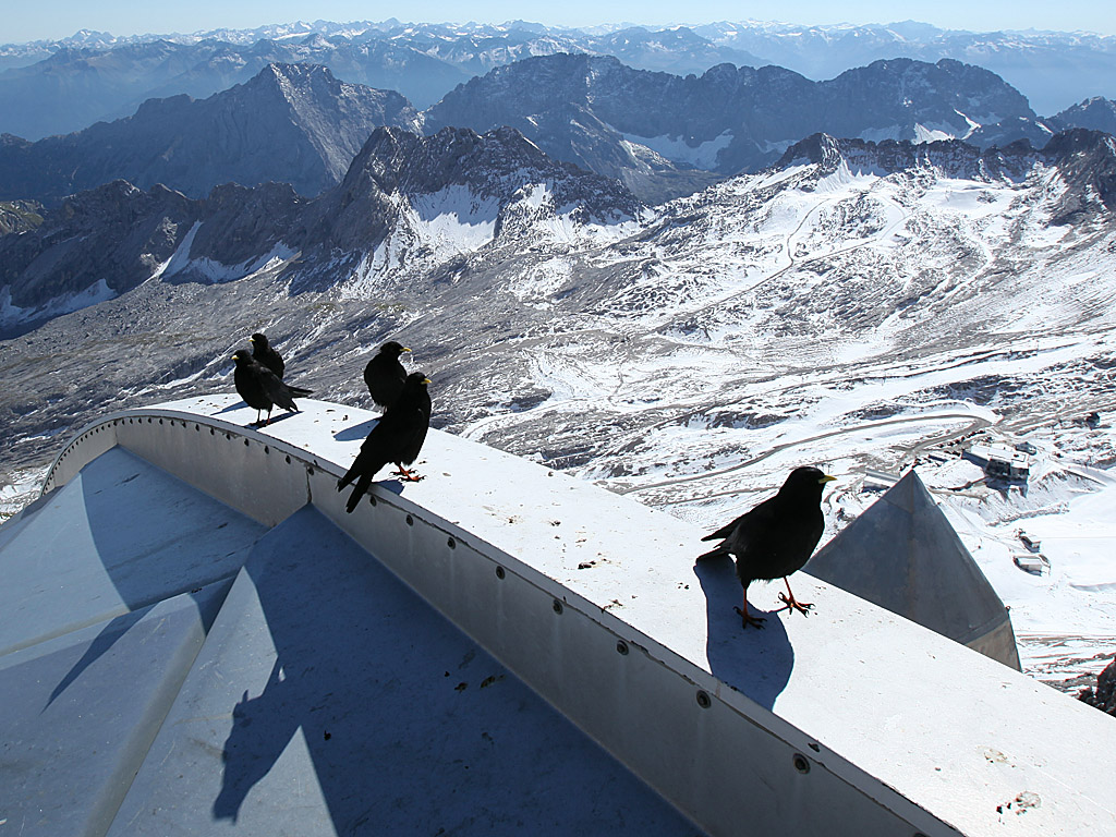 zugspitze08.jpg