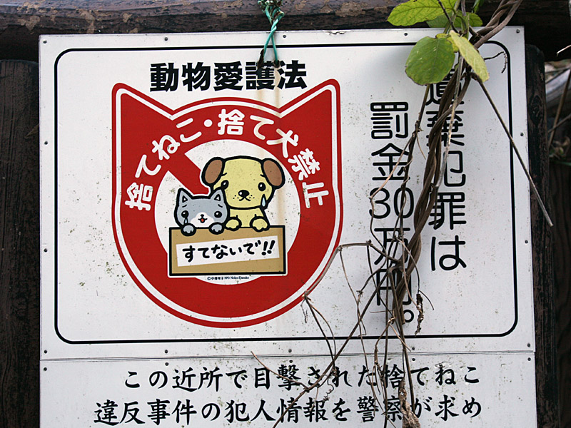 enoshima27.jpg
