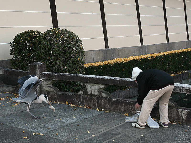 kyoto07.jpg