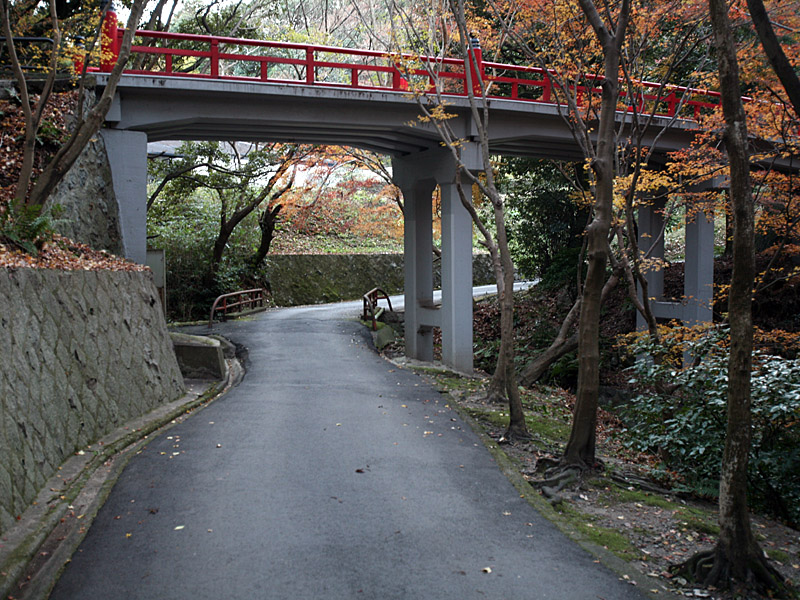 kyoto16.jpg