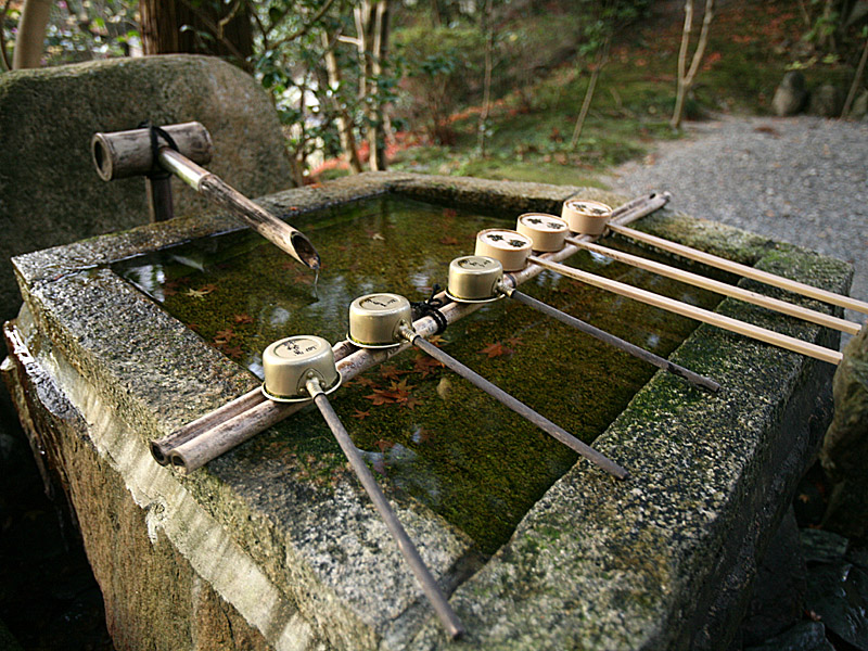 kyoto20.jpg