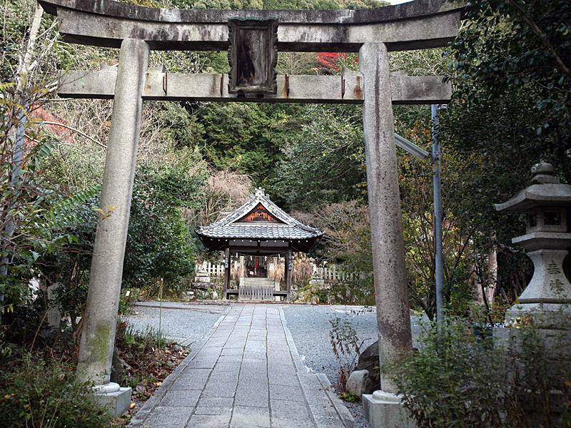 kyoto55.jpg