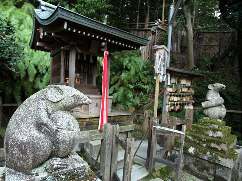 kyoto60.jpg