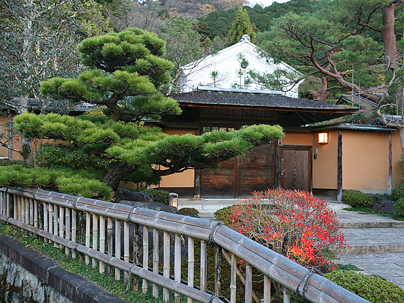 kyoto67.jpg