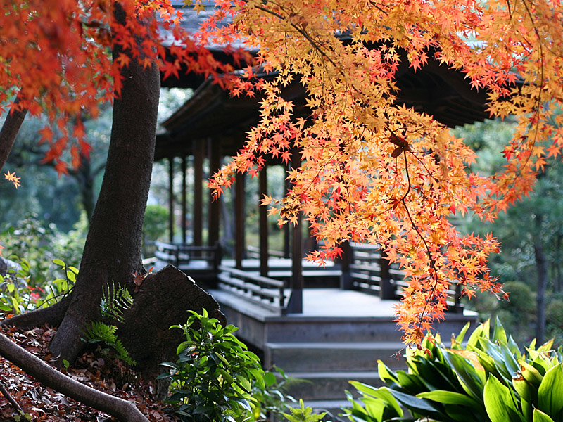 kyoto88.jpg