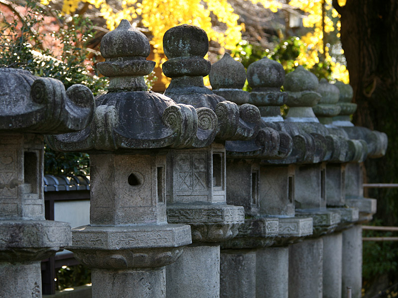tokyo14.jpg
