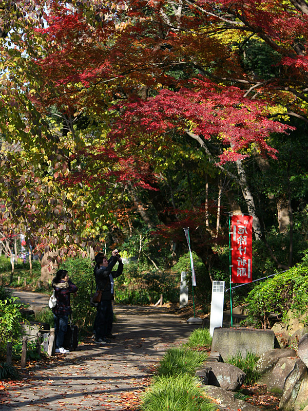 tokyo24.jpg