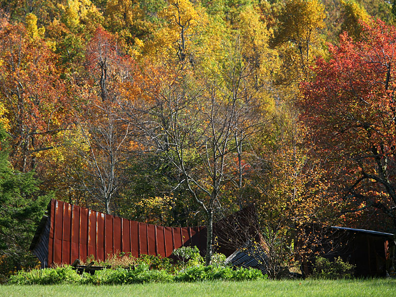 fall-va04.jpg