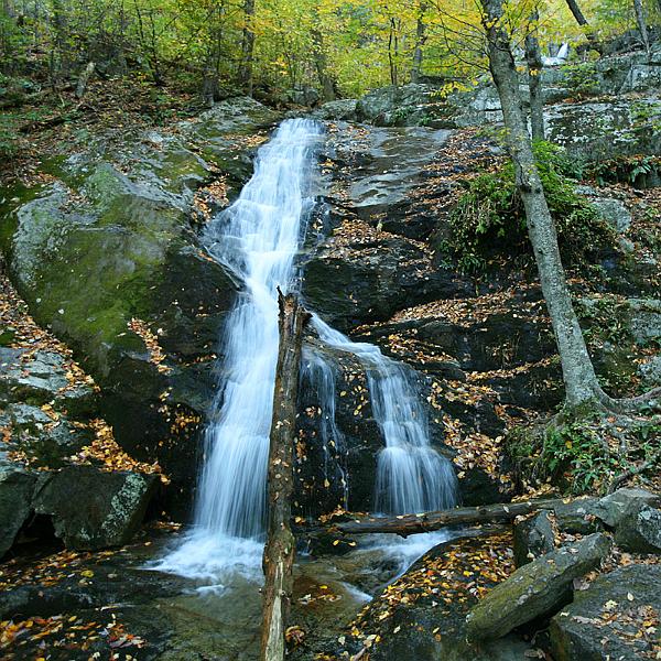 fall-va06.jpg